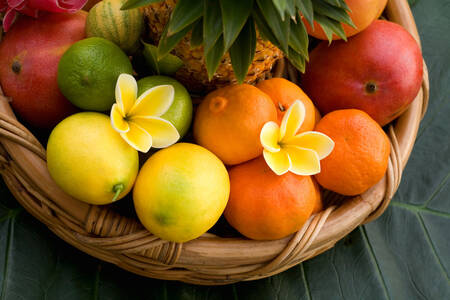 Korg med tropiska frukter