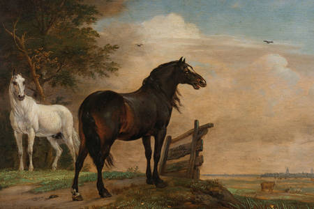 Paulus Potter: "Two horses in the meadow at the gate"