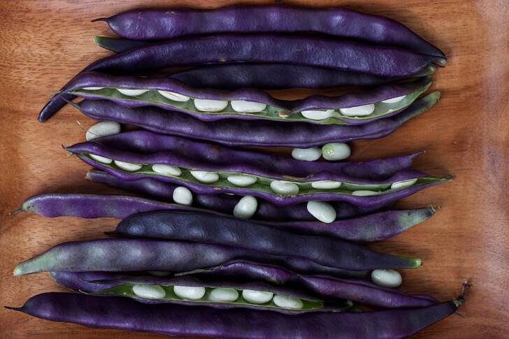 Purple beans