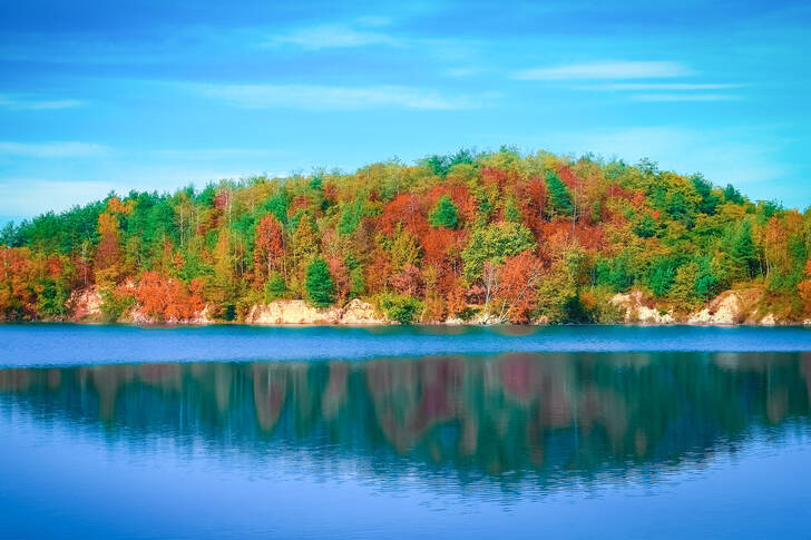 Lake with a forest backdrop