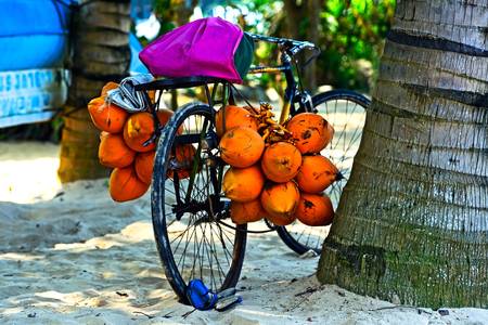 Tropické ovocie na bicykli
