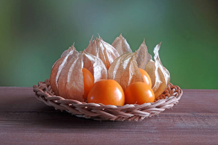 Physalis in a wicker plate
