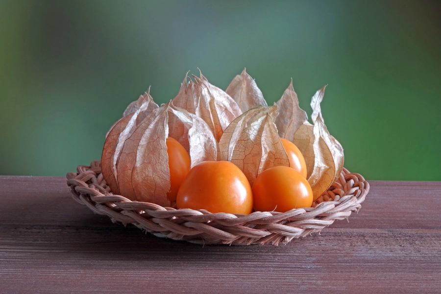 Physalis i en flettet tallerken