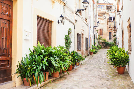 Una calle en Tossa de Mar