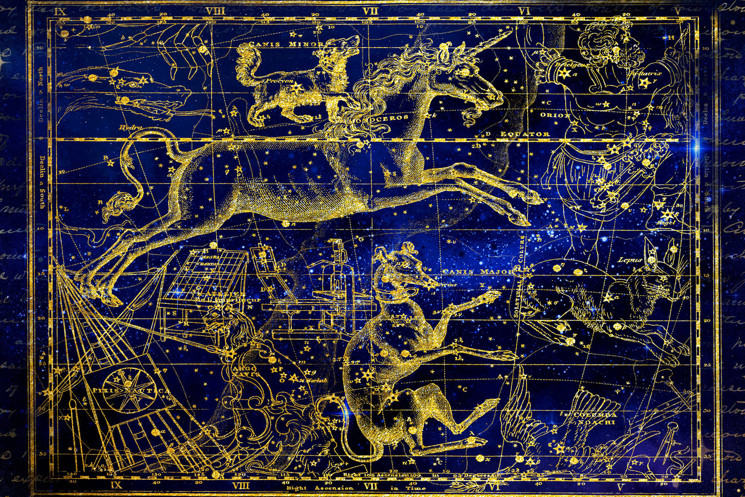 Constellation on a star map Jigsaw Puzzle (Space, Astronomy) Puzzle
