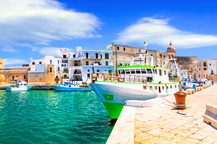 The port city of Monopoli