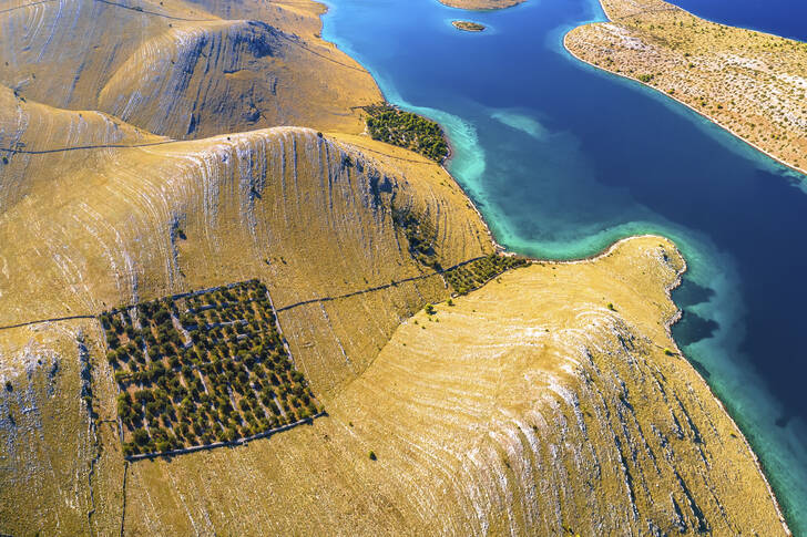 Sziklás sivatag Kornati szigetén