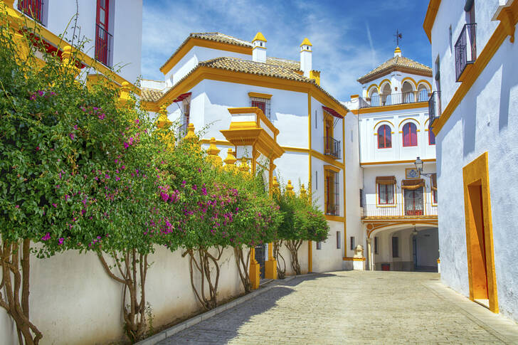 Sevilla'da bir sokak