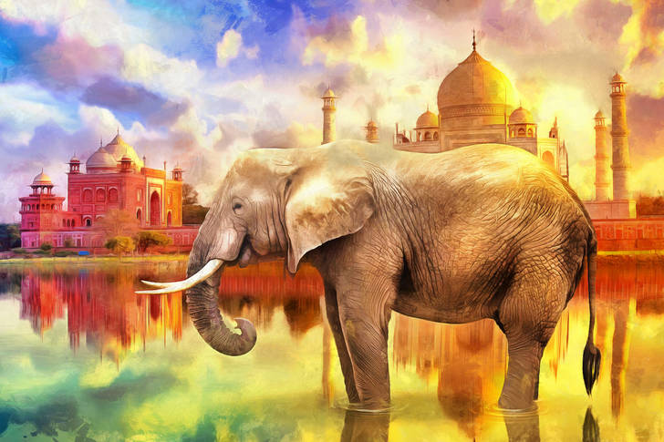 Elephant on the background of the Taj Mahal