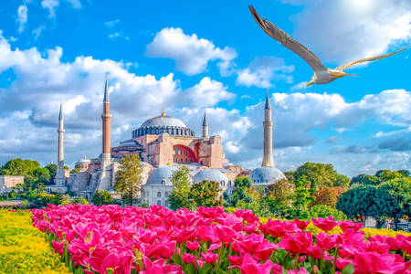 Hagia Sophia a Istanbul