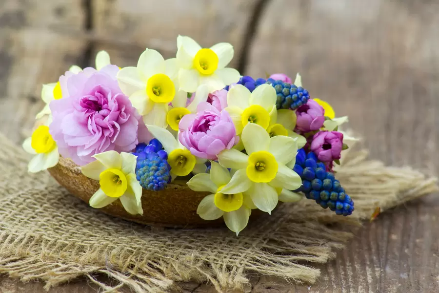 Komposisi dengan daffodil dan peony