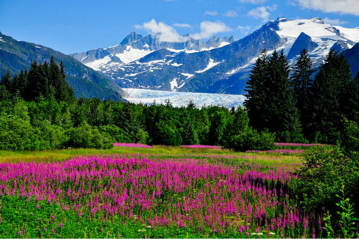 Mendenhall glacier view