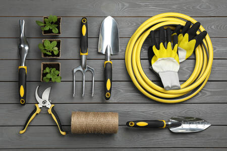 Garden tools and plants