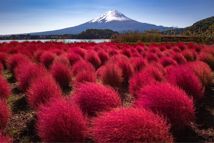 Vue de Fujiyama