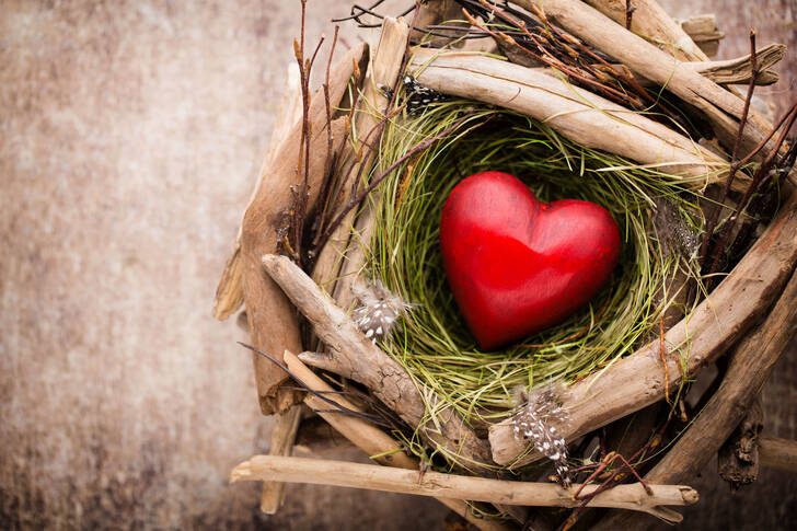 Heart in a nest