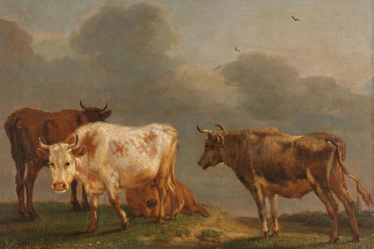 Paulus Potter: Four cows in the meadow