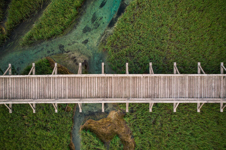 Hölzerne Fußgängerbrücke