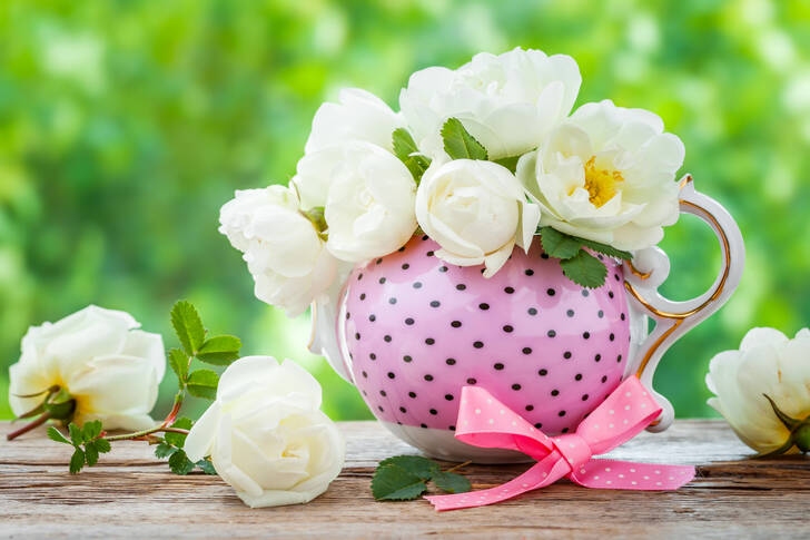 Garden white roses