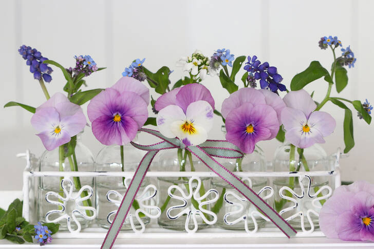 Violets in a basket