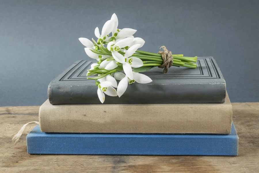 Un ramo de campanillas de invierno sobre libros