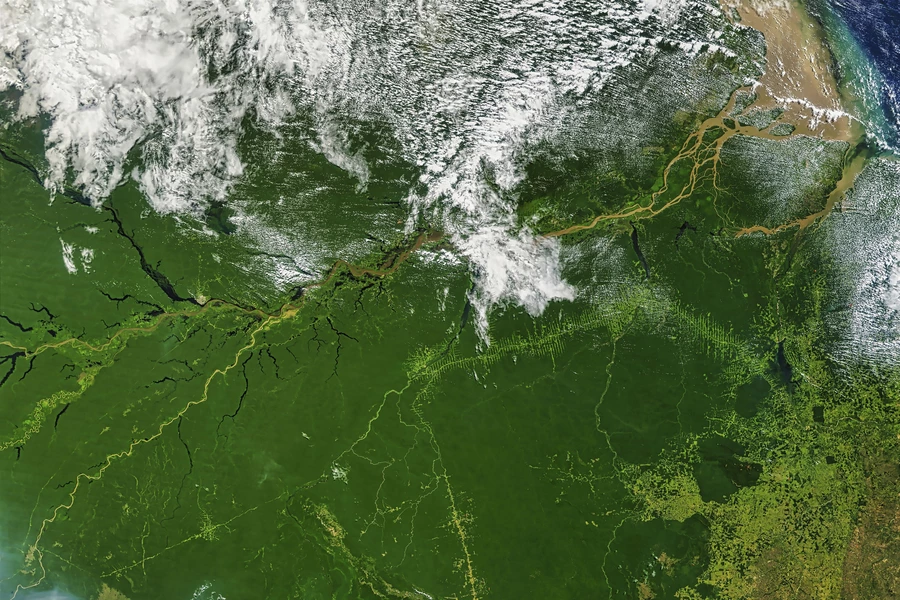 Vista do Amazonas de cima