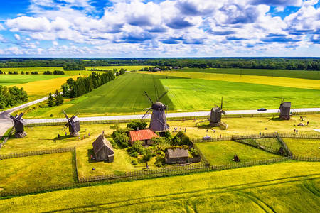 View of fields and windmills