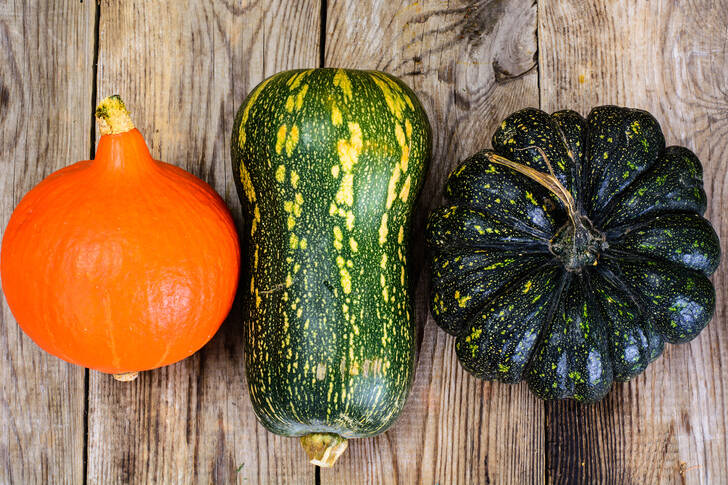 Three different pumpkins
