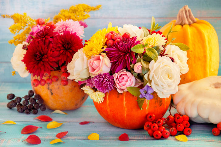 Flowers in a pumpkin