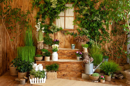 Wooden house with green plants