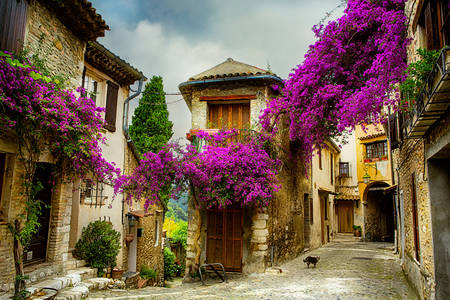 Old city in Provence