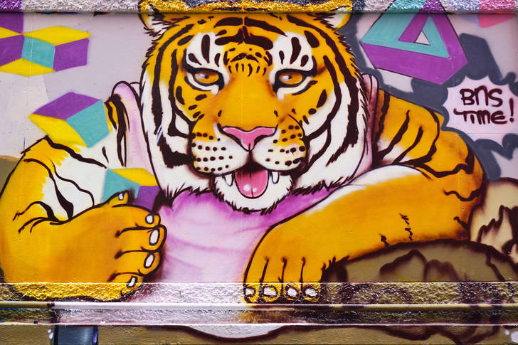 Graffiti avec tigre