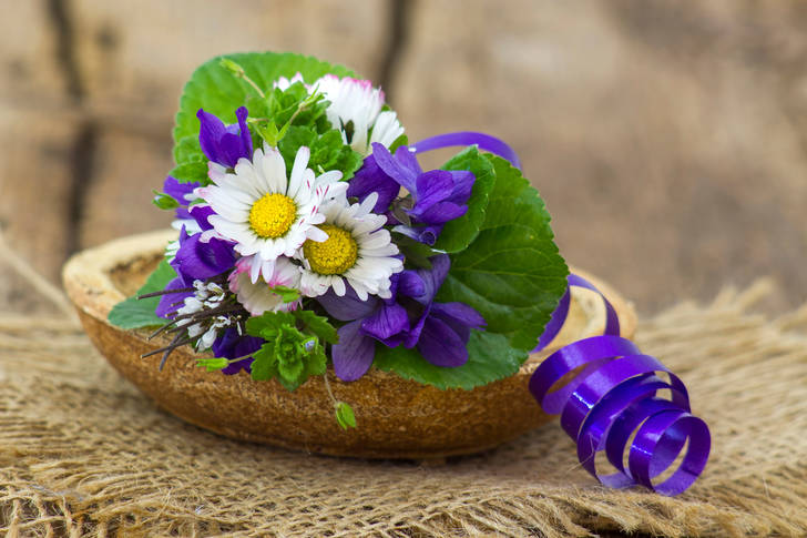 Bouquet of daisies and violets