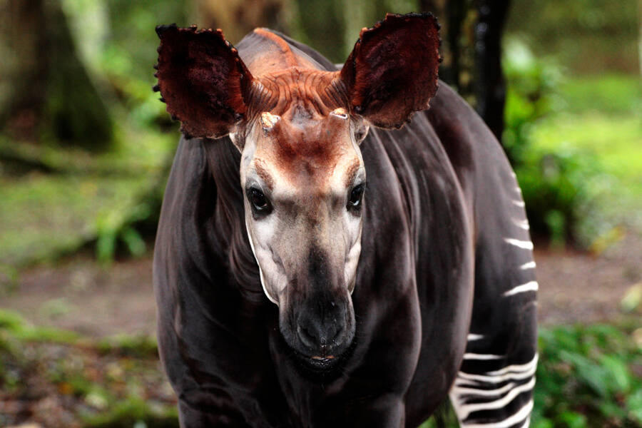 Puzzle Online Spielen Kostenlos Puzzle Garage